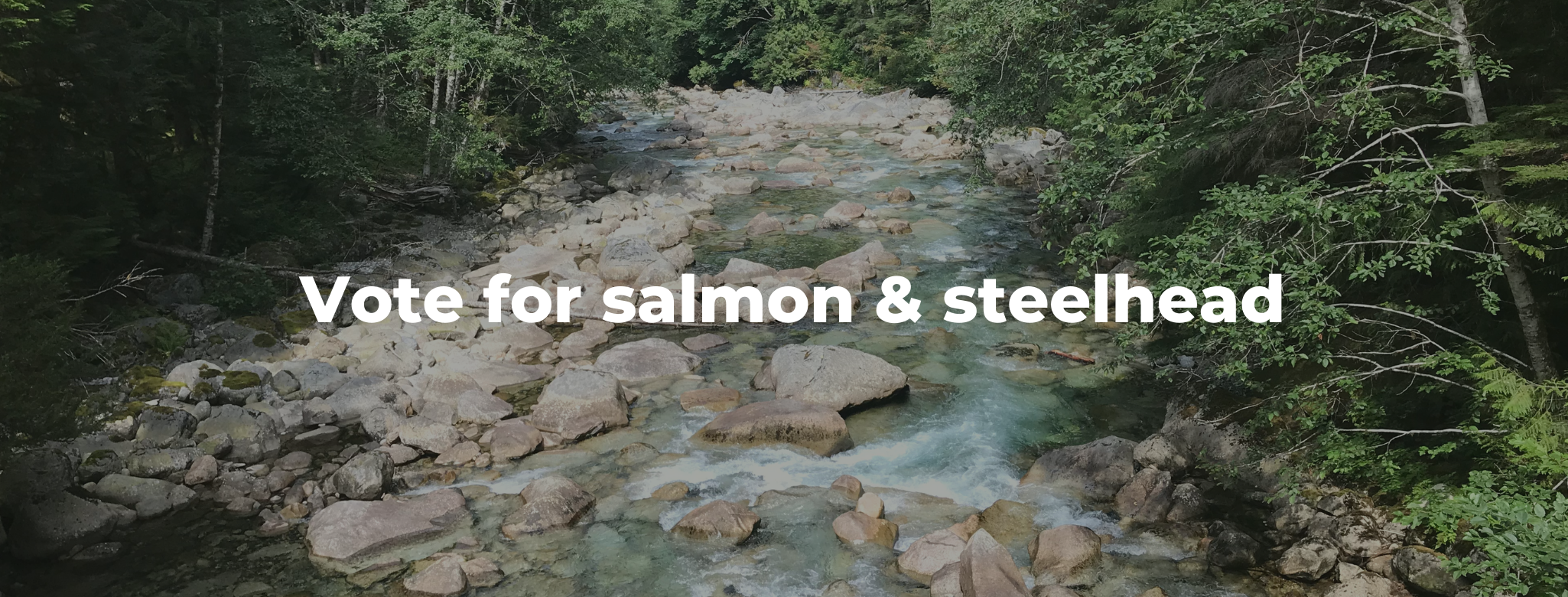 Vote for salmon & steelhead