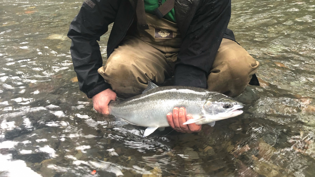 High Water and Small Creeks: Winter Steelhead Fishing on Oregon's