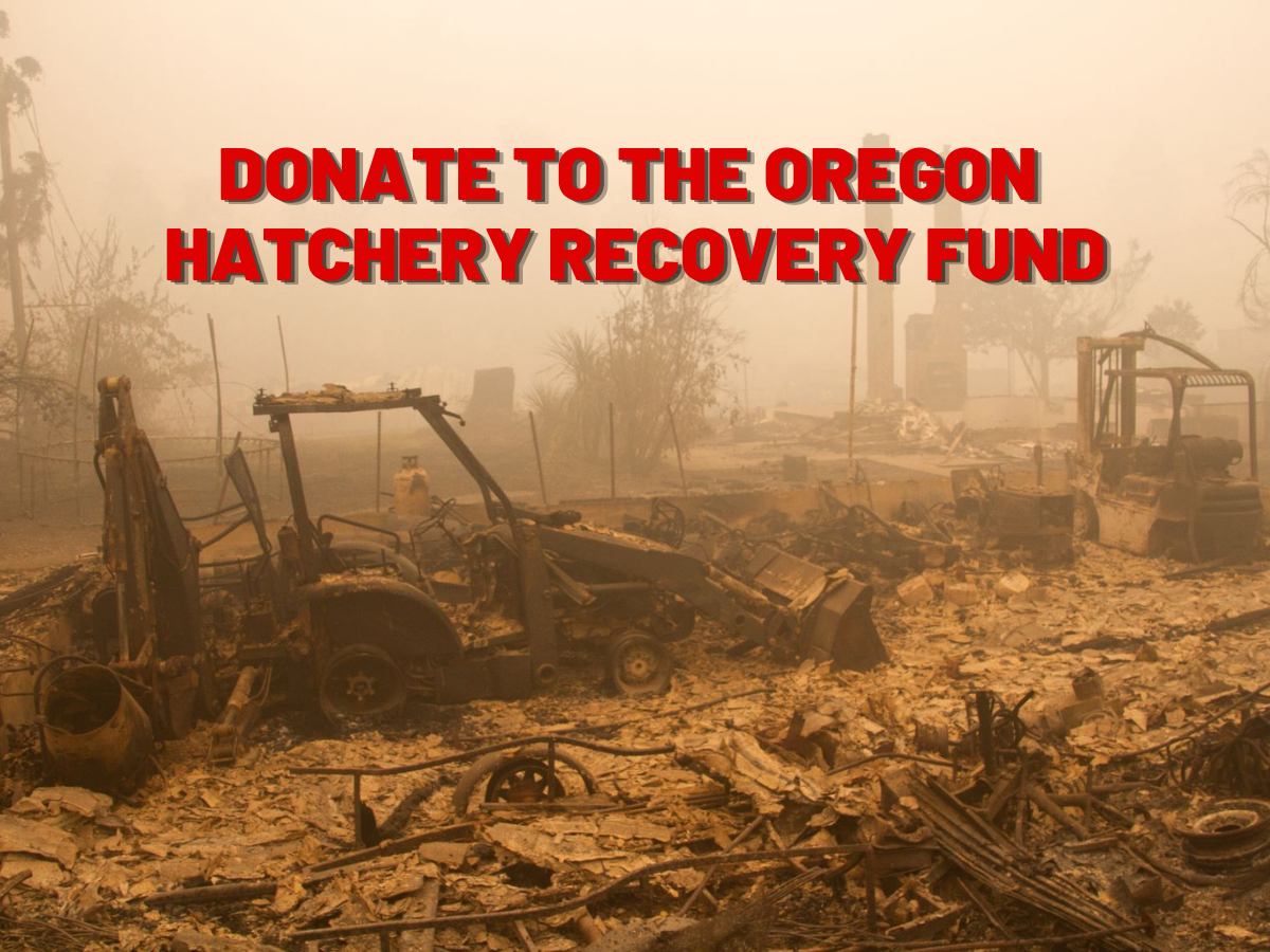Oregon Hatchery Recovery fund
