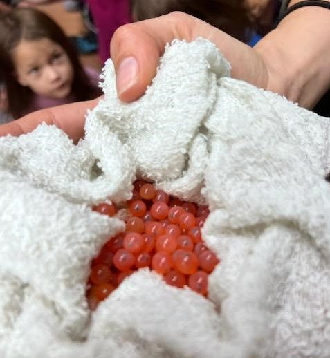 Orange fish eggs in washcloth in foreground, kids faces looking in background