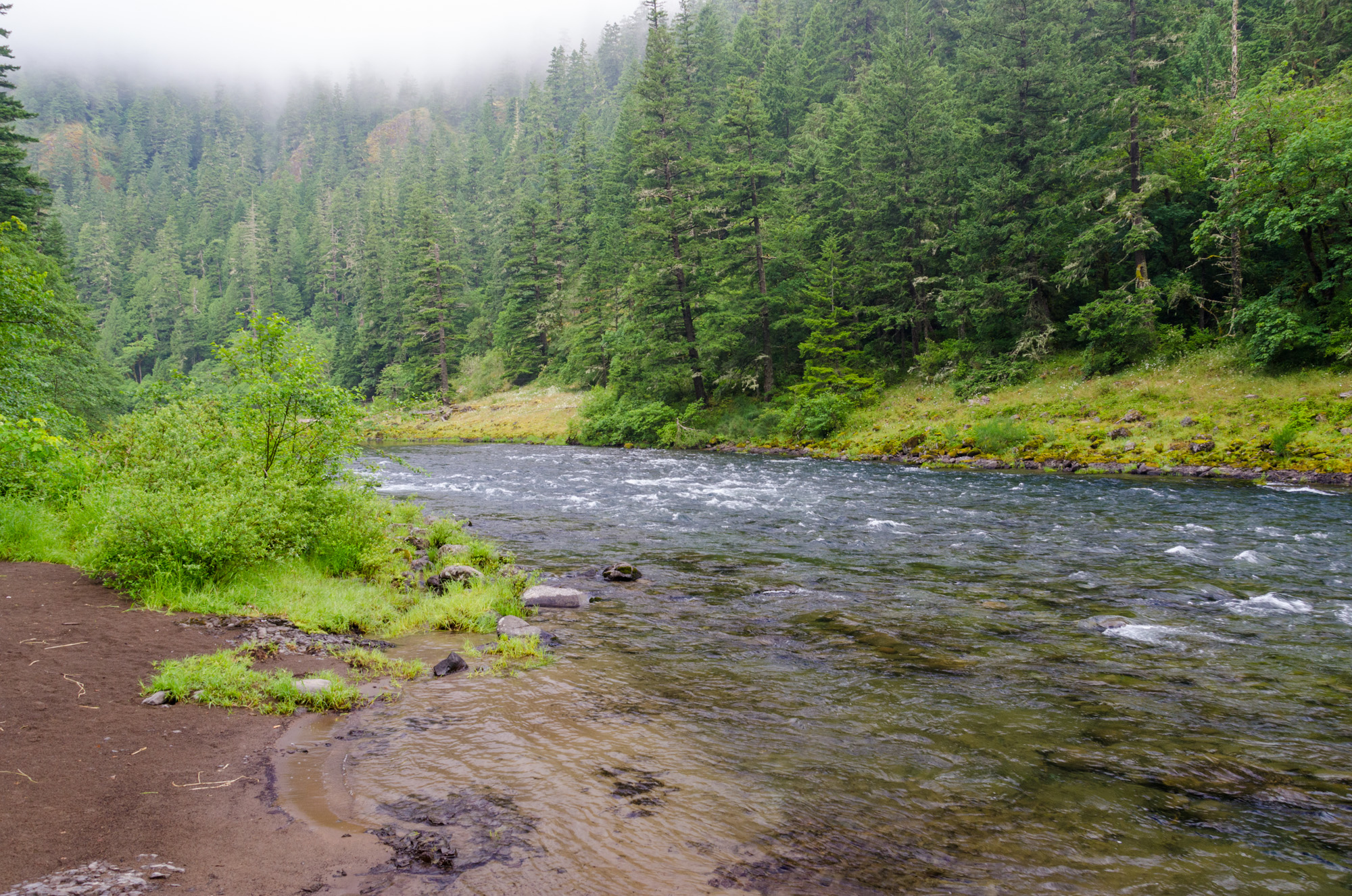 The Clackamas River near Big Eddy. Clackamas County.