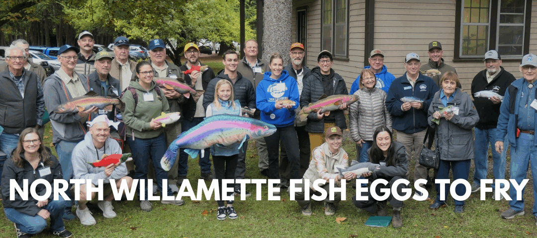 A Record-Breaking Egg Delivery Day for North Willamette Fish Eggs to Fry