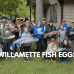A Record-Breaking Egg Delivery Day for North Willamette Fish Eggs to Fry