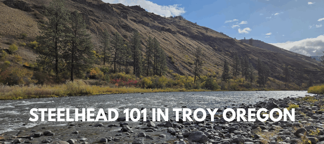 Steelhead 101 in Troy Oregon