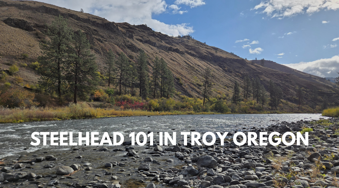 Steelhead 101 in Troy Oregon
